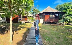 Amazon Gero Tours